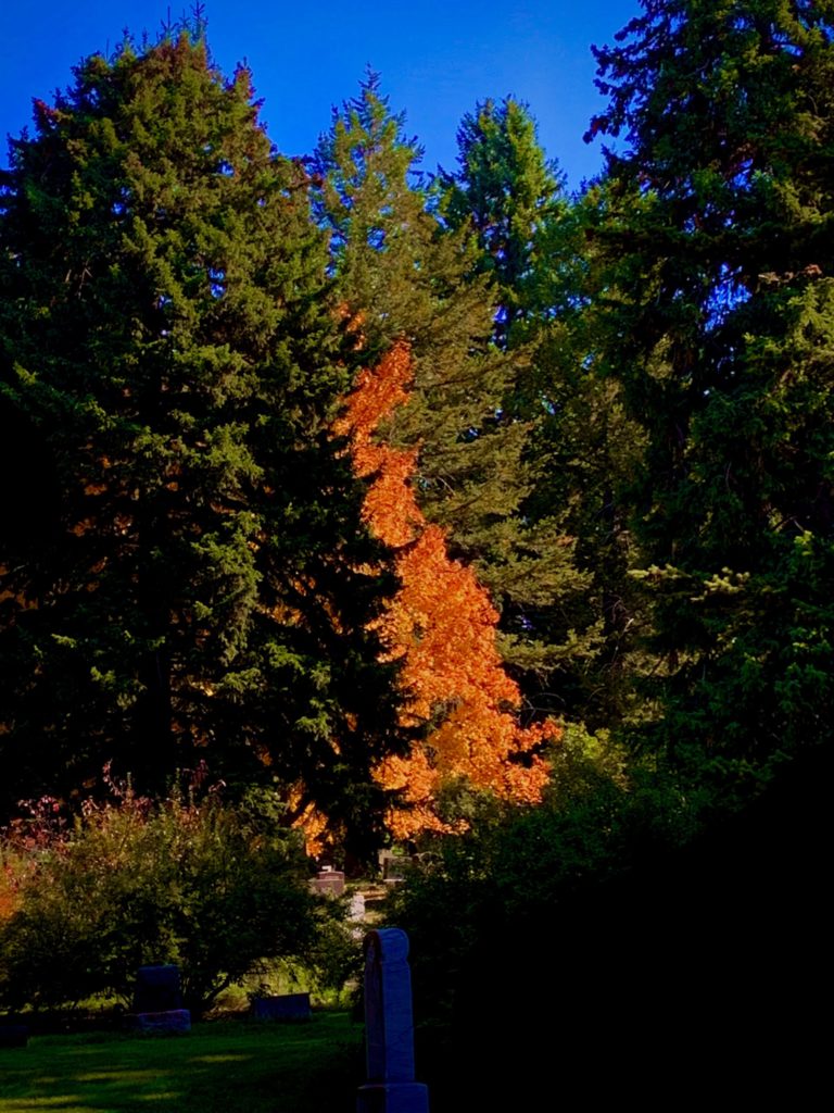 Nature's art exhibit: The Colors of Change in Eden Prairie