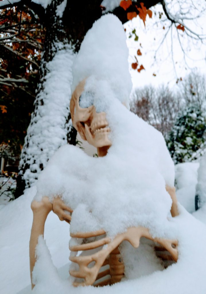 City of Eden Prairie issues  heavy snow emergency rules: In time for an October emergency