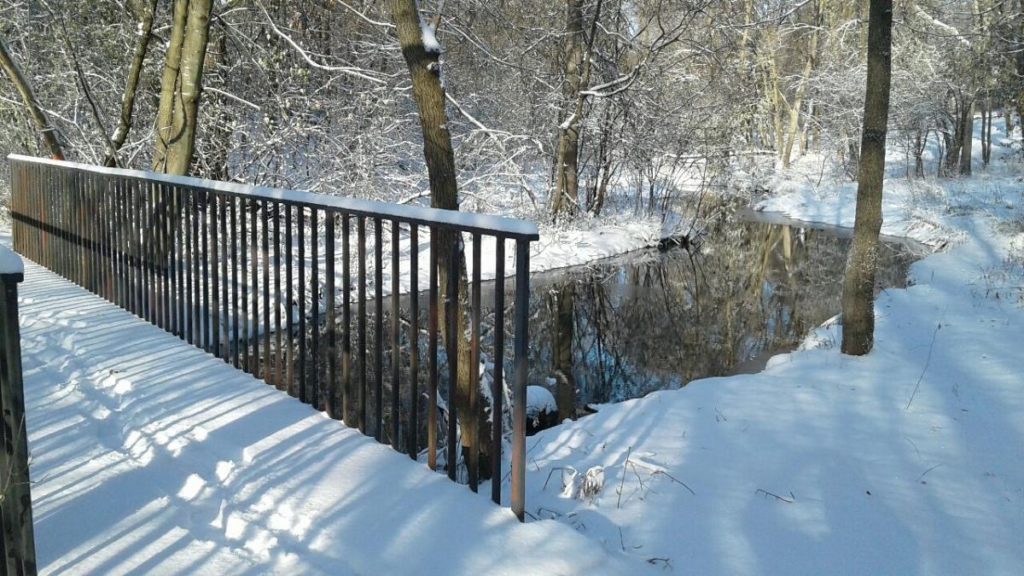 EP Trails and Parks: A backyard cure for cabin fever