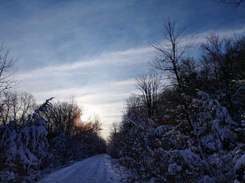"Like so much else in 2020, the cloudy wall was not a bad thing." 