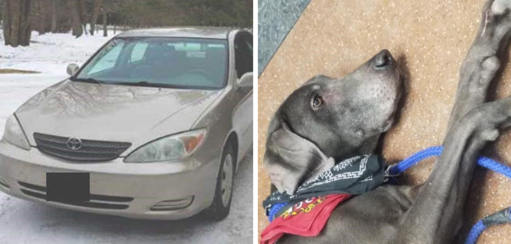 Eden Prairie Police are looking for a stolen Camry that had the owner's dog inside.