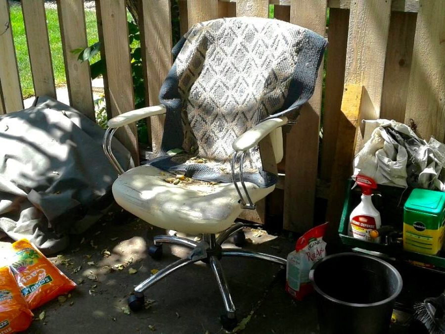 Plan now for EP's June 19 trash disposal event