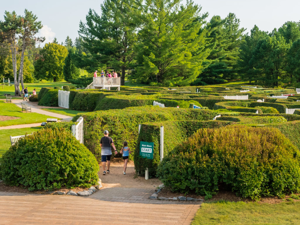 A father and his daughter walk into the Arboretum maze garden.