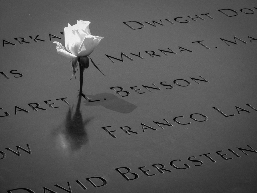 Stock 9/11 Memorial image of rose