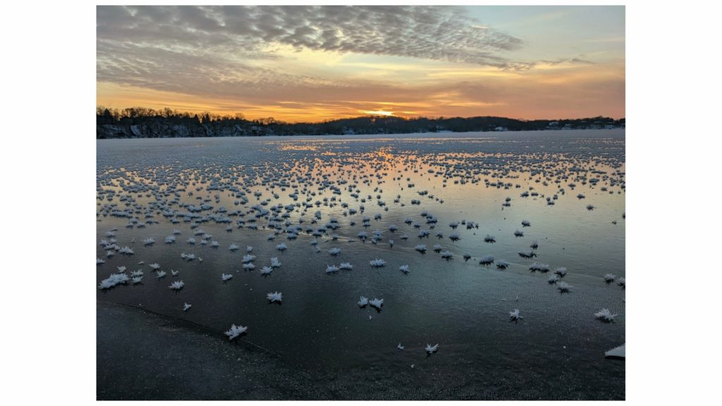 Frost flowers on frozen Lake Riley.