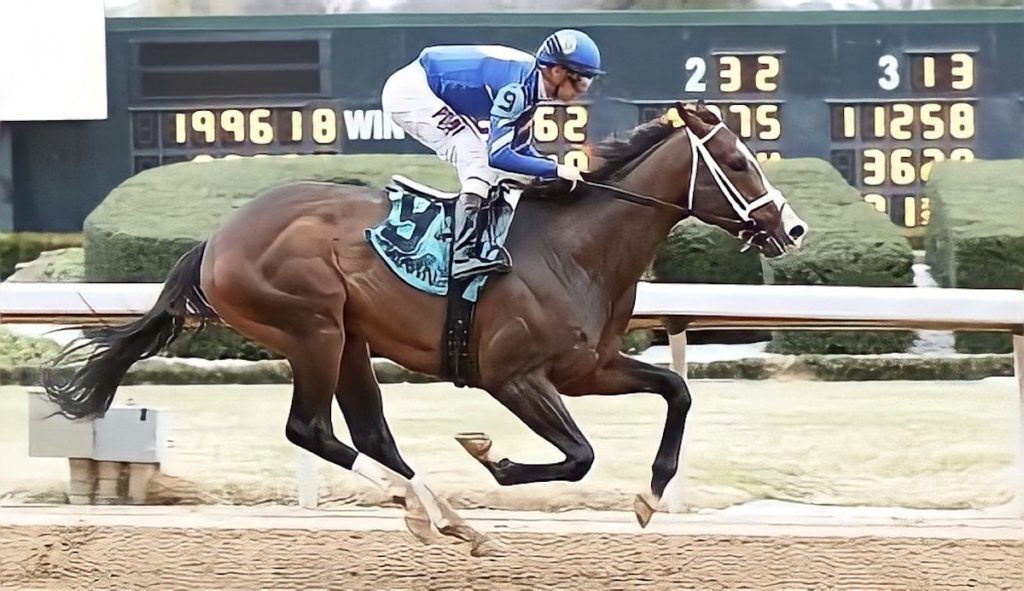 This photo shows Zozos winning a race at Oaklawn Park. The points from that race helped him qualify for the Kentucky Derby, where he placed 10th. Photo by Coady Photography