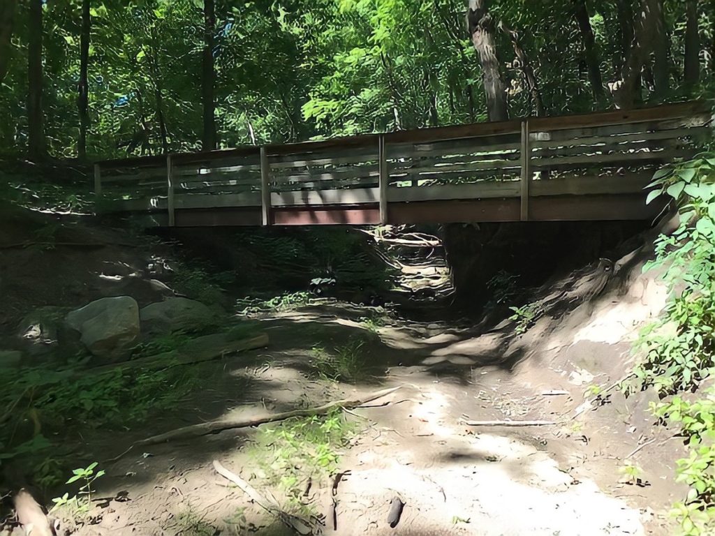 Riley Creek in the Canopy Trail park area, south of Pioneer Trail and east of Dell Road. Photos by Greg Olson
