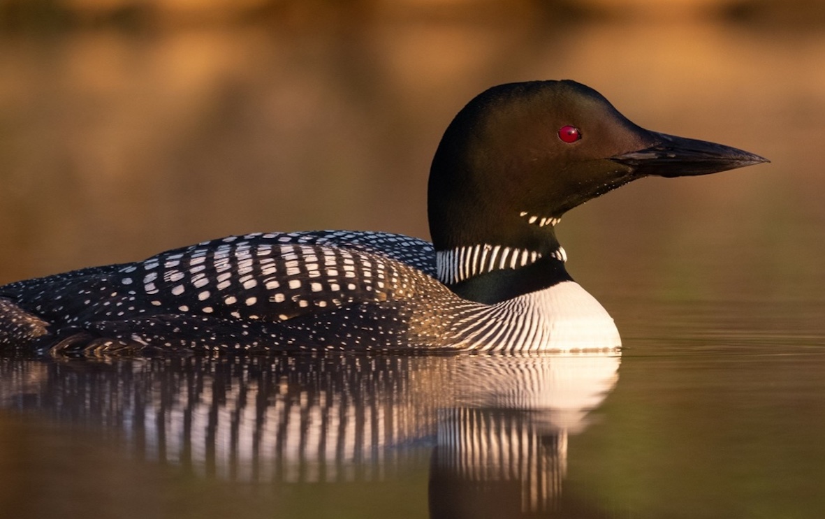 Spiritual connections: After a long night of despair, joy comes in the morning