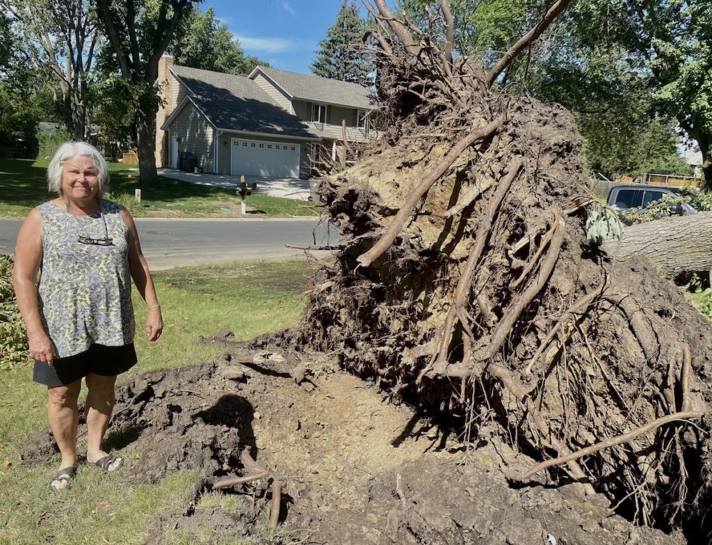 Jan Farmer stands in front of the exposed roots of the basswood tree that stood in the front yard of her Eden Prairie house until Saturday night. Photo by Stuart Sudak