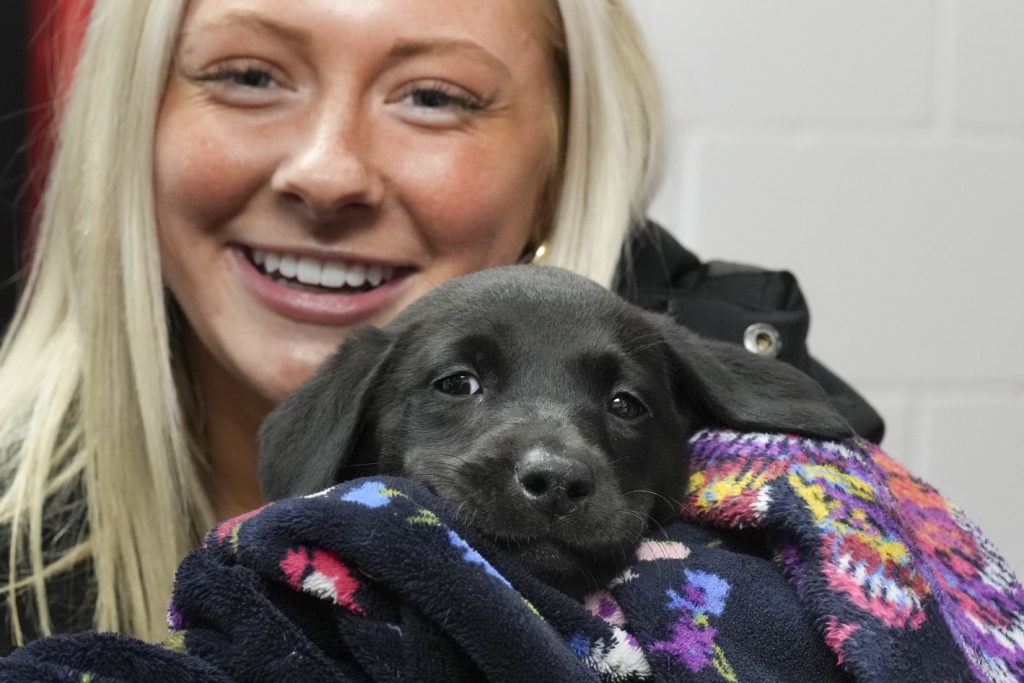 Eagles JV sophomore forward Erin Stahl has a new best friend in “Callie,” a British black labrador visiting the Mid-Winter Meltdown tournament on Thursday. Photo by Rick Olson