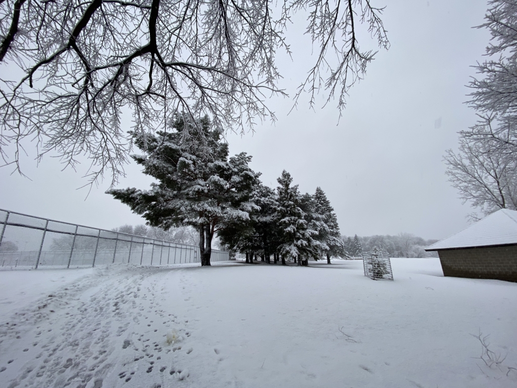 Round Lake snowy trees 12-15-22
