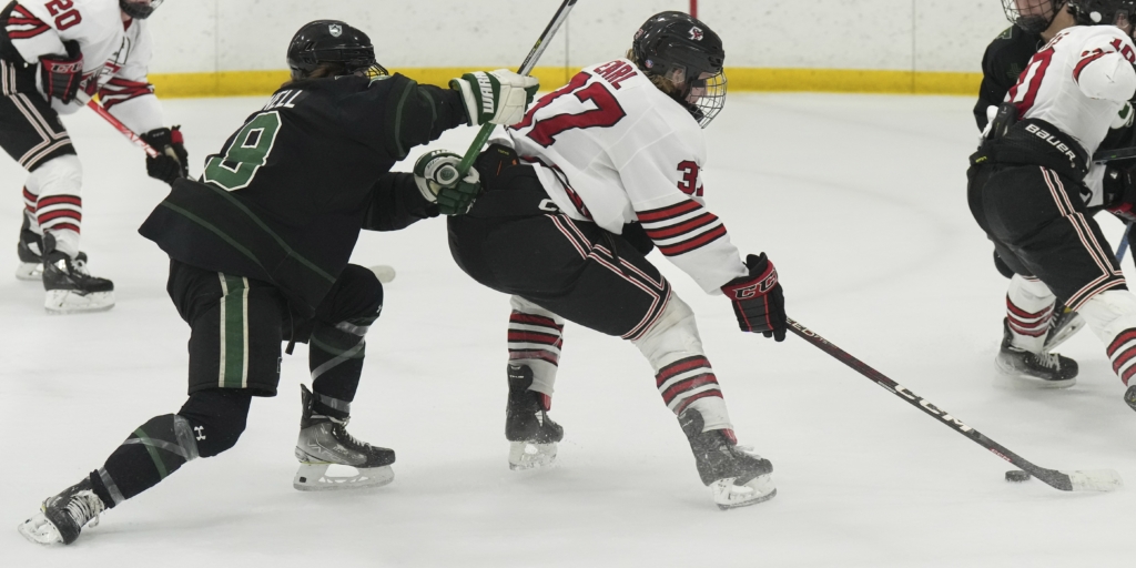 After fast start, Eagles fizzle against Holy Family