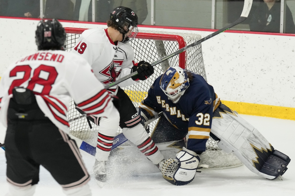 SPORTS UPDATE: Eagles come up short in 6-2 loss to Hermantown