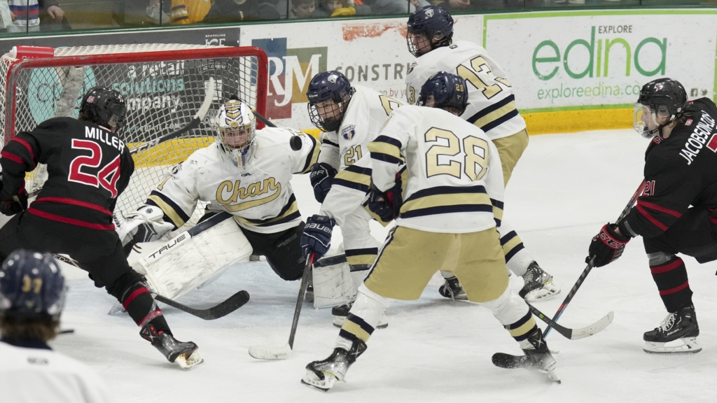 Thrilling game; heartbreaking finish as Eagles go down in overtime of section semifinals