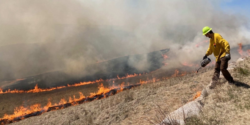 Conditions were nearly perfect on Tuesday for Prairie Restoration, Inc.’s controlled burn of prairie grasses in the Prairie Bluff Conservation Area. The company was performing the prescribed burn on behalf of the City of Eden Prairie. Photo by Mark Weber