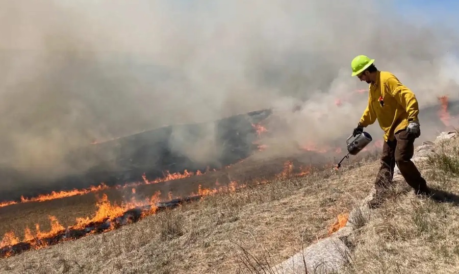 Controlled burn underway to rejuvenate prairie