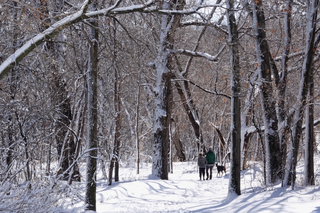 Snowstorm proves to be no April Fool's joke