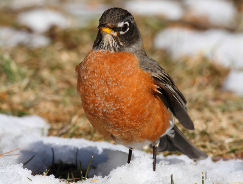 Spiritual connections: Wake up ... it's spring