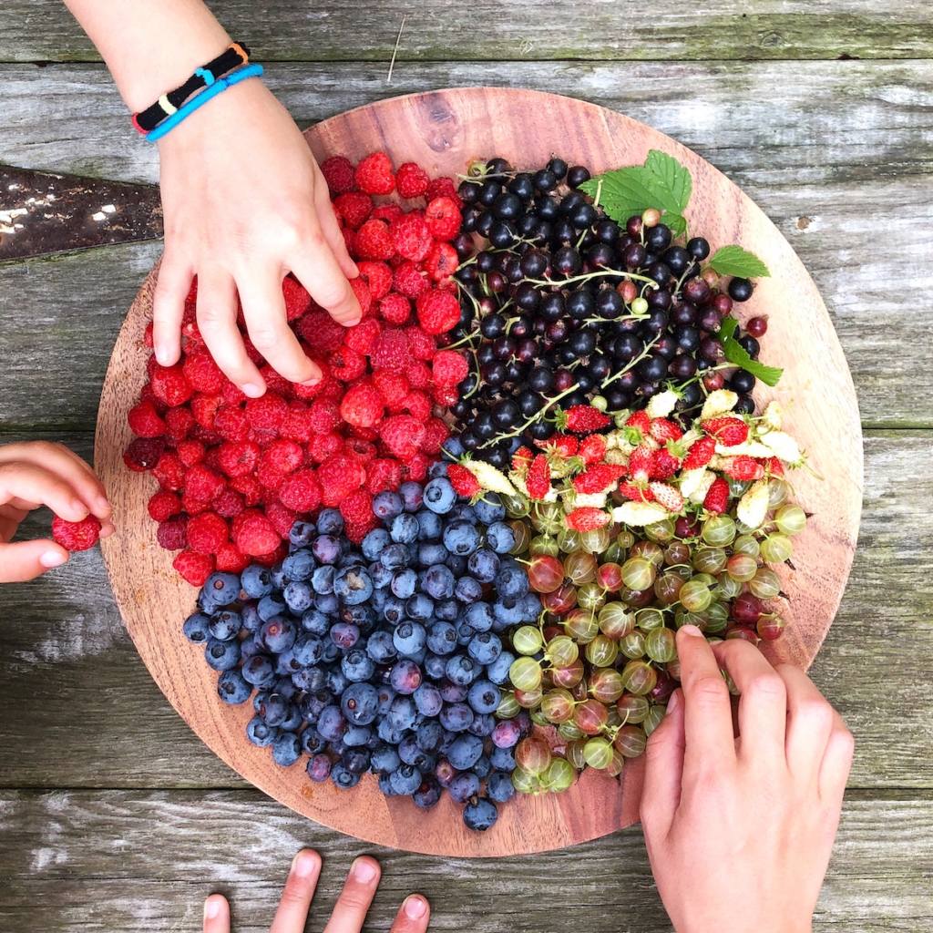 EP business blooms with sustainable landscapes and pollinator-friendly designs