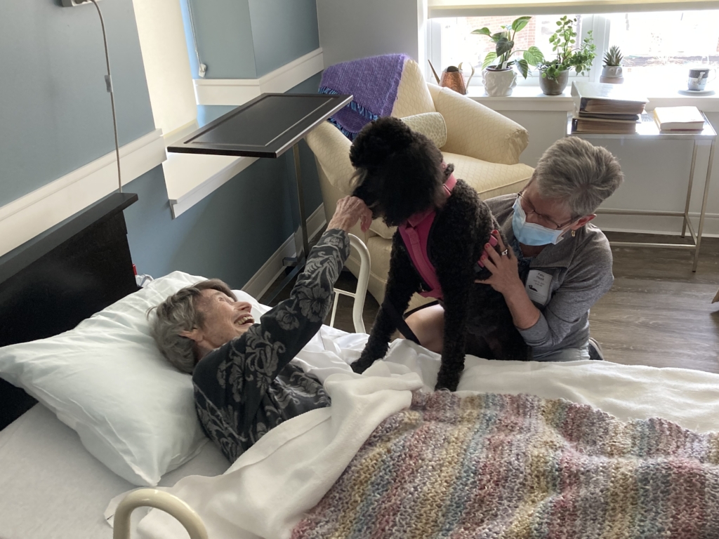 Hospice patient MaryAnn Stevens, left, visits with Gracie the moyen poodle and her owner, Patty Hauck.