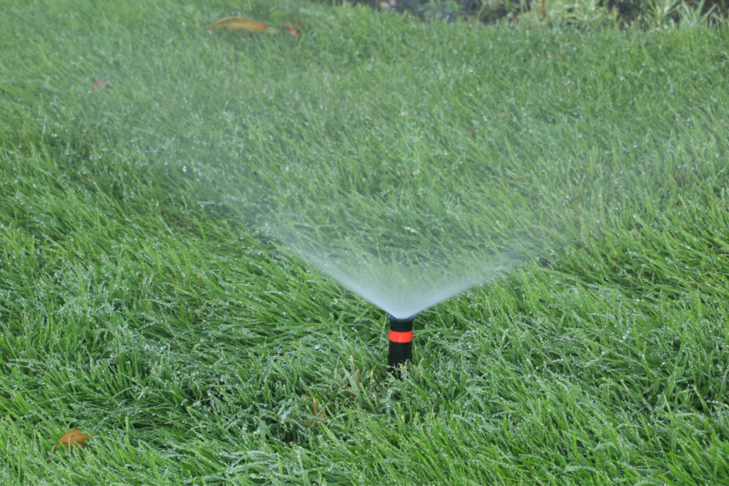 A sprinkler waters a patch of green grass.