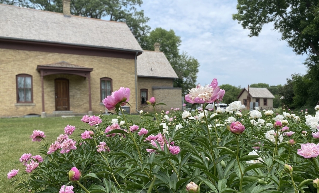 Brief but breathtaking: Peony garden in bloom at Cummins-Phipps-Grill House