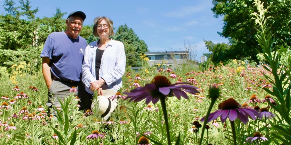 Jeff and Linda Rotschafer’s backyard prairie on Eileen Street was featured in the local newspaper 29 years ago. It’s still growing strong. Photo by Mark Weber