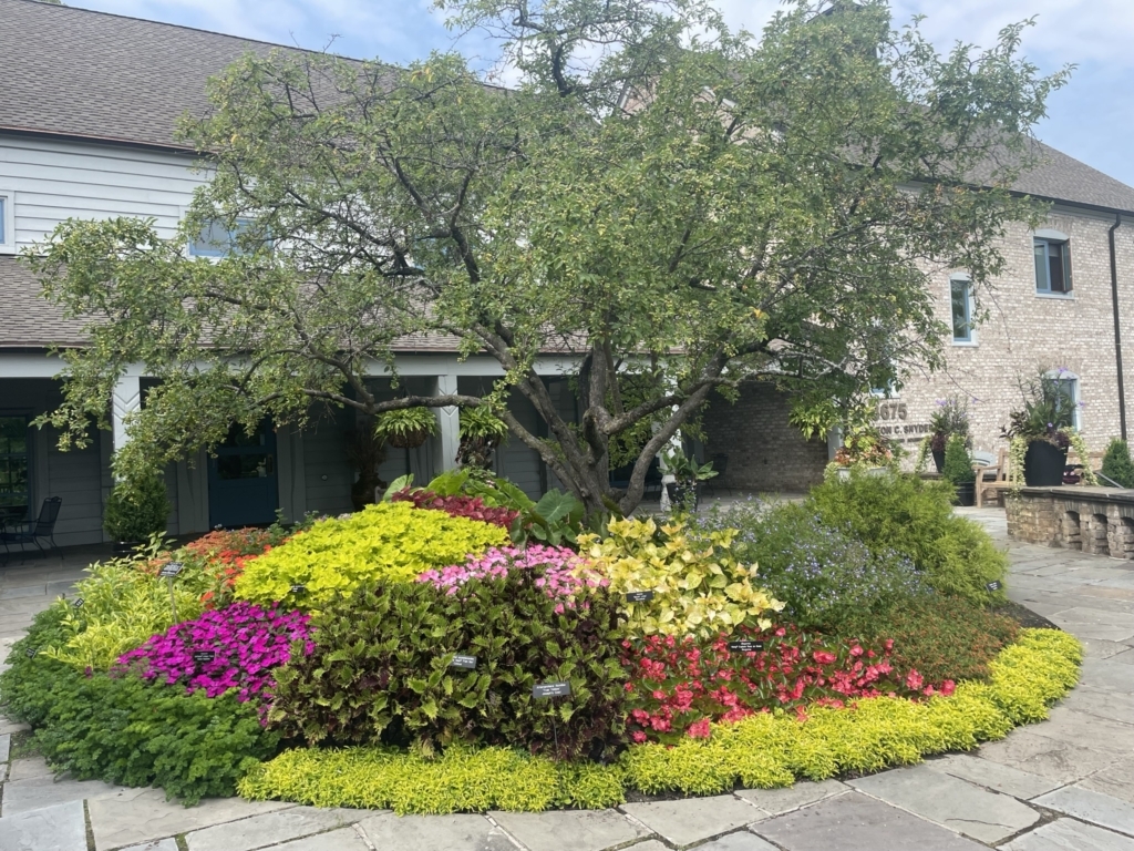 Beautiful gardens, fall events and tasty treats arrive at the Arboretum in autumn