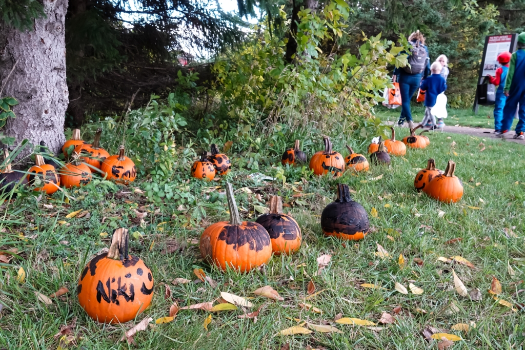 Photo by Gretchen Haynes