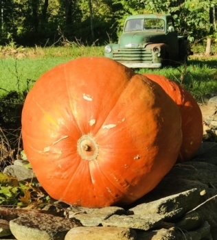 Photo by Rita G. Vitalis