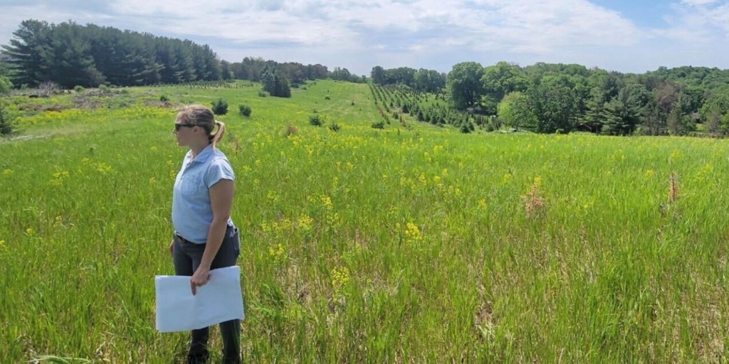 This photo from a staff presentation at the Riley Purgatory Bluff Creek Watershed District meeting last November shows the property along Spring Road in Eden Prairie that the district is buying.