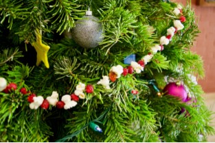 Popcorn & Cranberries