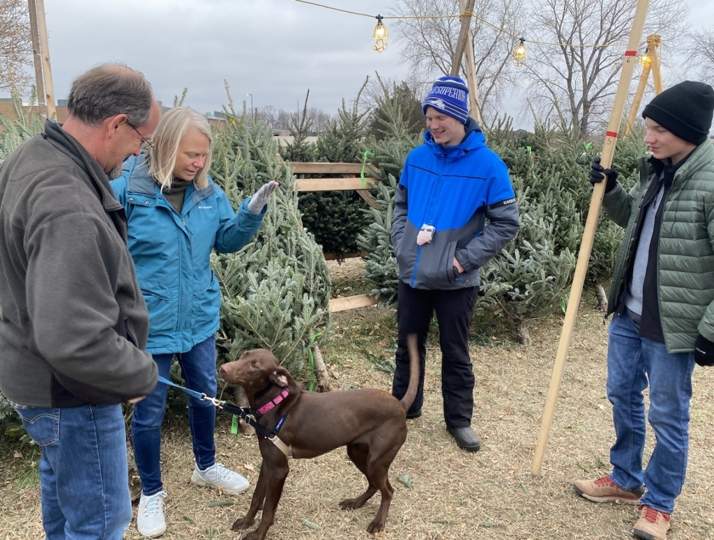 Barb and Jay Olson of Bloomington, along with their dog Olive, receive assistance while picking out a tree last weekend. The troop's two lots have been so popular, that leaders expect both to be sold out of trees by Sunday. Photo by Stuart Sudak