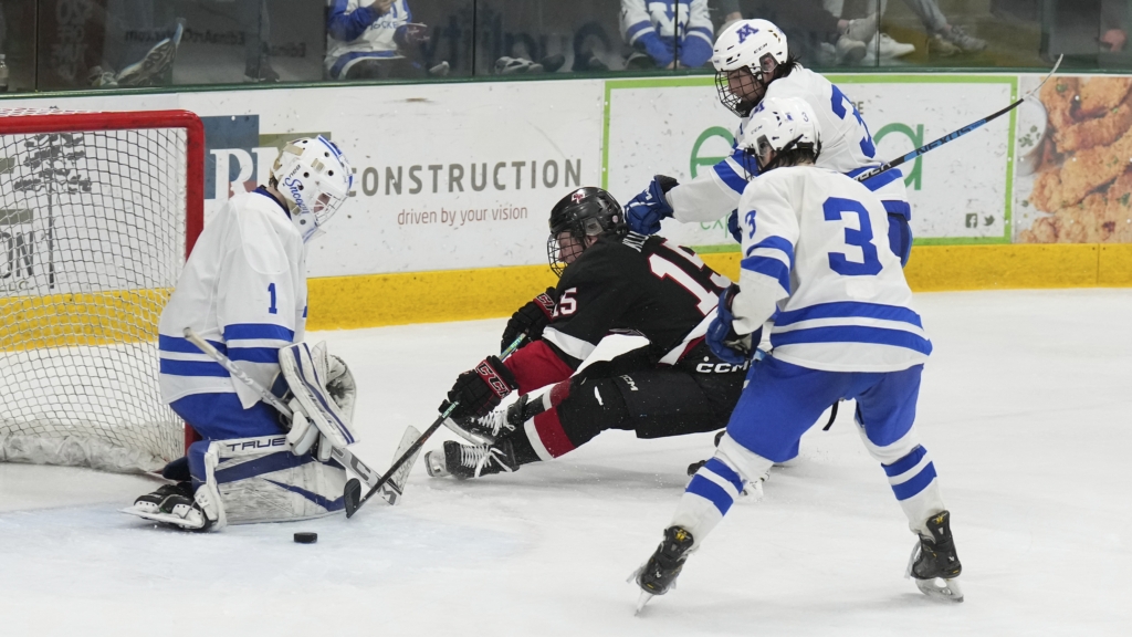 Eagles toppled by Tonka in section semifinal