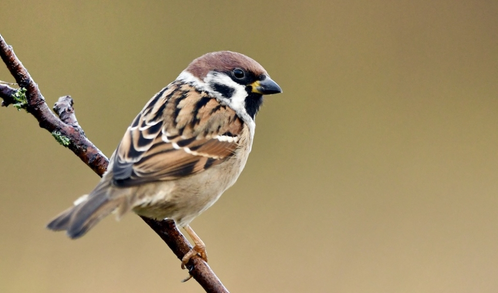 Spiritual connections: Who's watching?