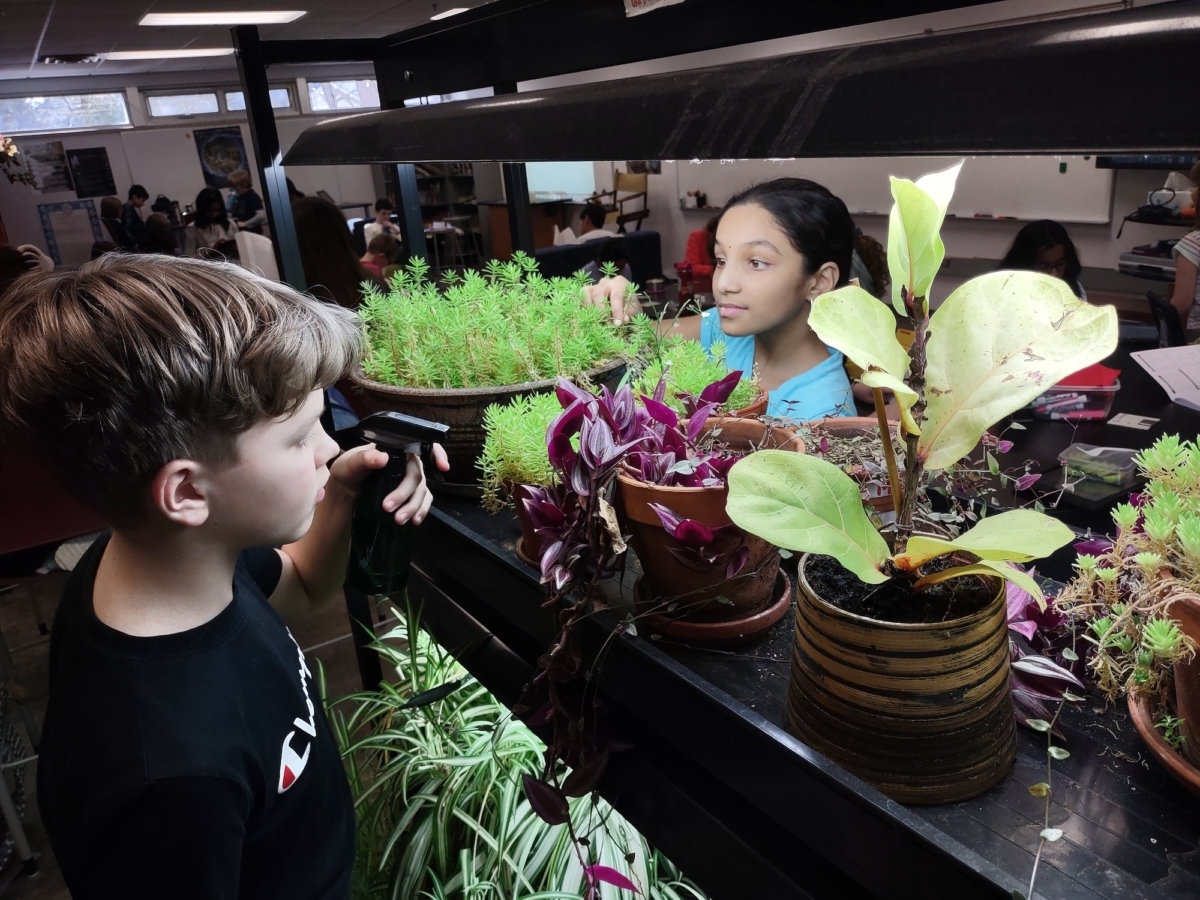 Third grade students tend to plants in their classroom, where they learn about photosynthesis and plant their own seedlings each spring. Photo by Eden Prairie Schools