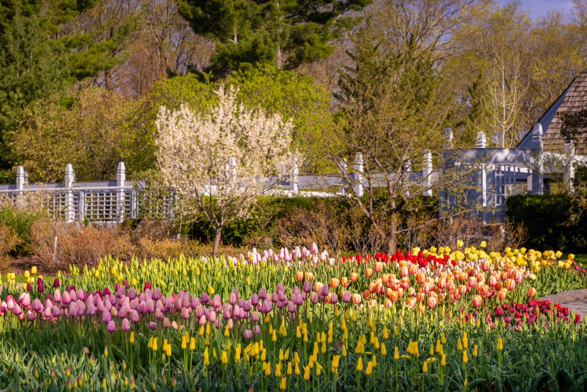 Photo by Jason Boudreau-Landis