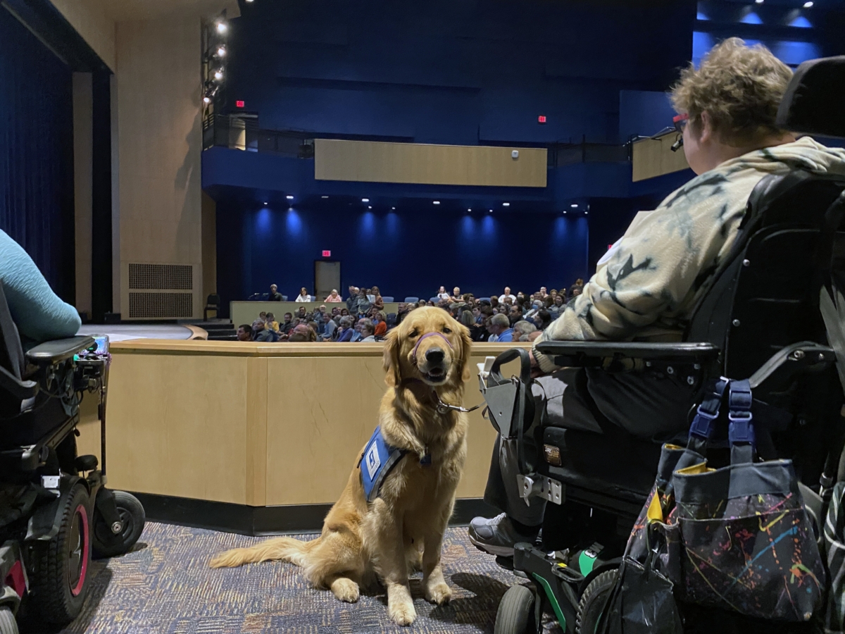 The dogs who graduate from training through Helping Paws provide support with many daily living activities. Photo courtesy of Helping Paws