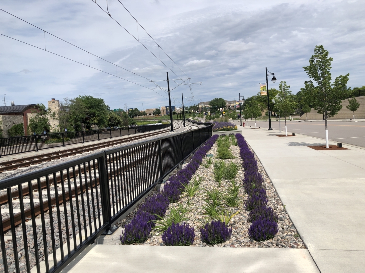 The City of Eden Prairie has added landscaping along Town Center Place, near the Town Center Light Rail Transit station west of Flying Cloud Drive, as it waits for trains to begin running in 2027. Photo by Joanna Werch Takes