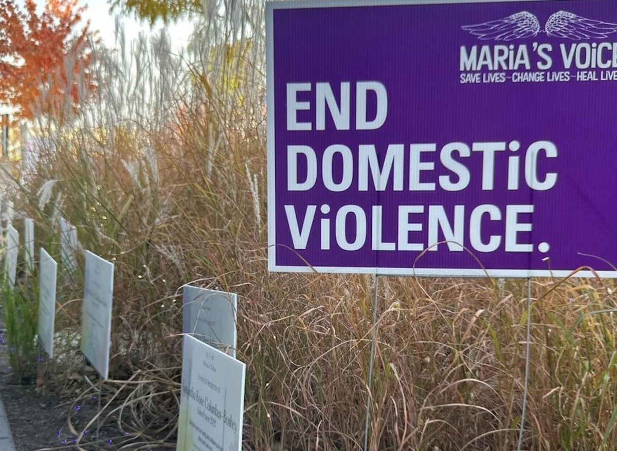 October is National Domestic Violence Month: Raising awareness in Eden Prairie