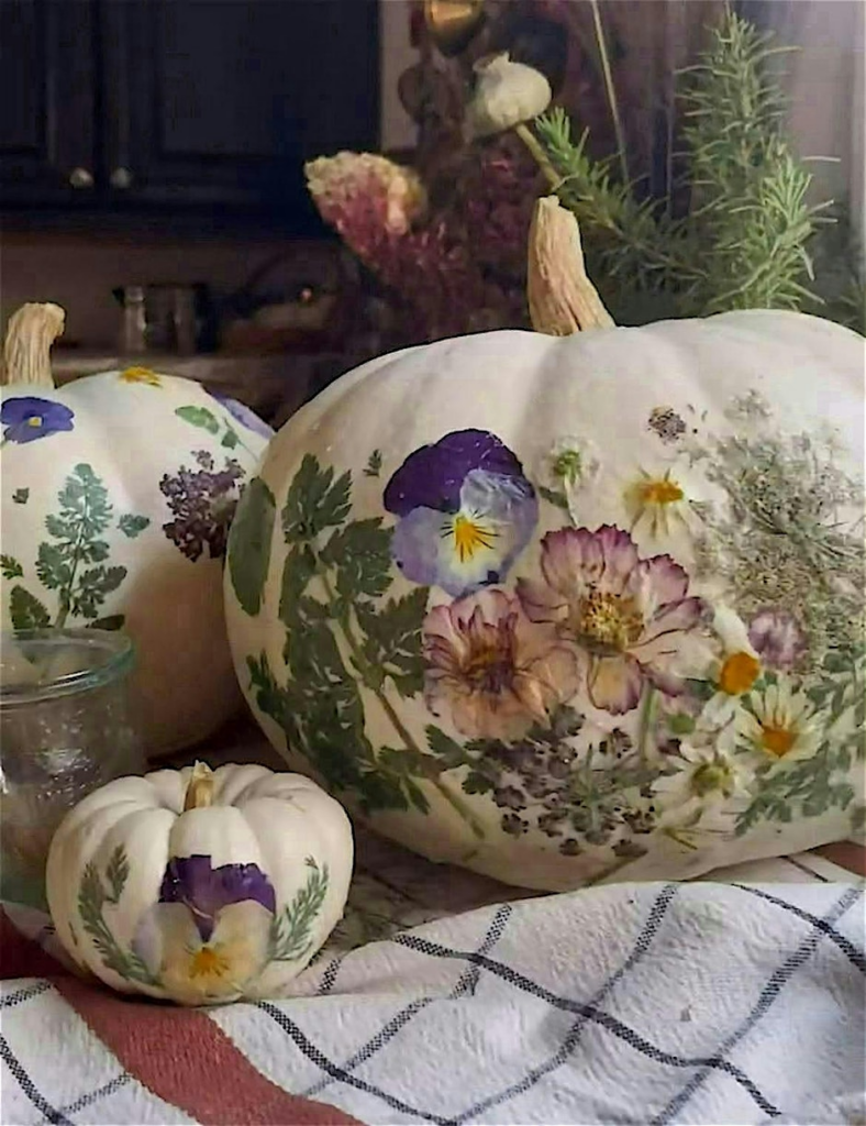 Botanical Pumpkin Design Workshop at Hackamore