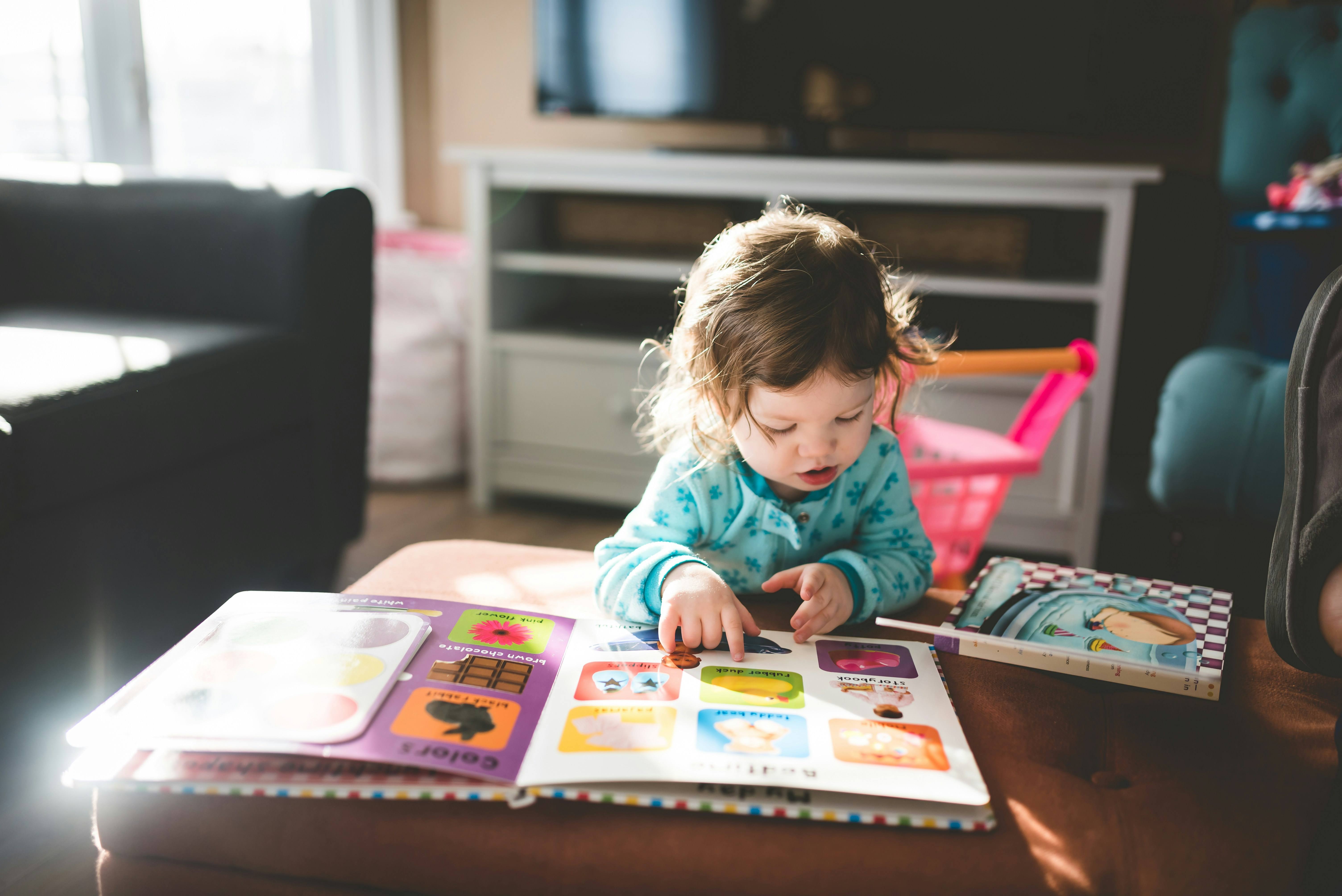 A toddler girl reading a picture book