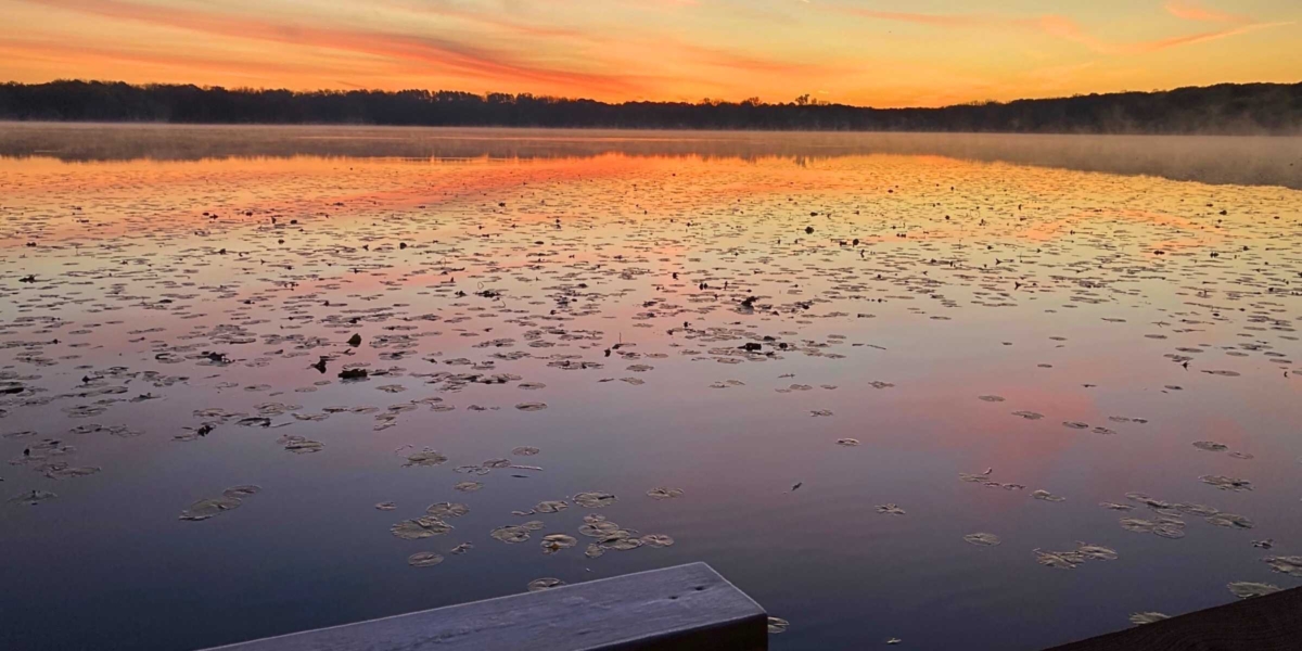 Without homes on its shore, Eden Prairie’s Staring Lake – pictured at sunrise – is more mindful of a wilderness water body than something found in a fully developed suburb. Photo by Mark Weber