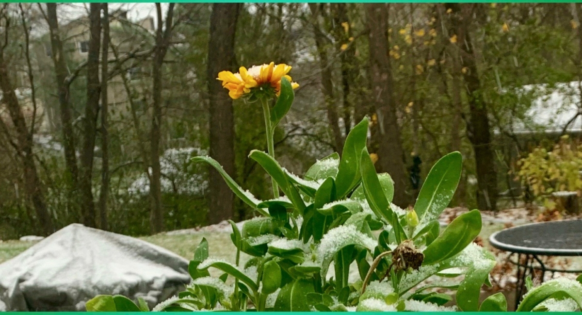 Photos by Jeff Strate