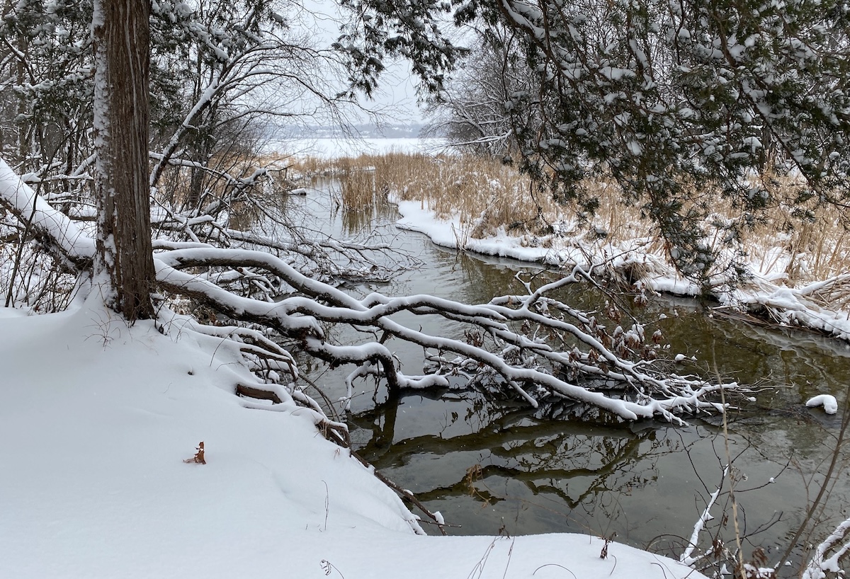 Eden Prairie resident Jussi Lehti captured this photo Thursday afternoon of the season’s first snow at Purgatory Creek near Staring Lake.