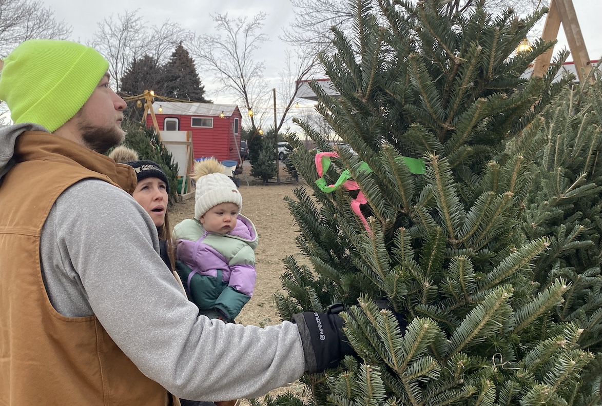 Rooted in tradition: Scouts sell trees to fund big adventures