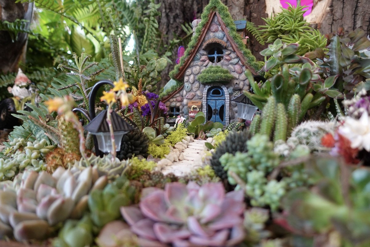 Fairy gardens – tiny and gigantic – are featured in the Spring Flower Show. This example, which has more than 50 tiny plants, is one of dozens of dish gardens and terrariums throughout the show. Photo courtesy of the University of Minnesota Landscape Arboretum