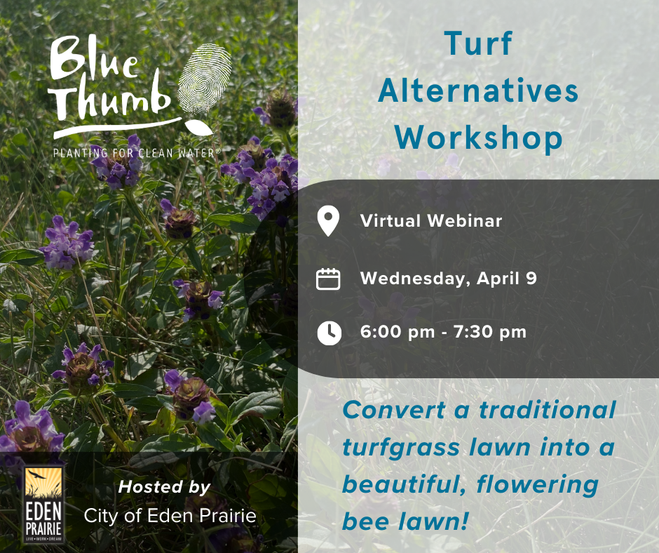 Turf Alternatives Workshop Image