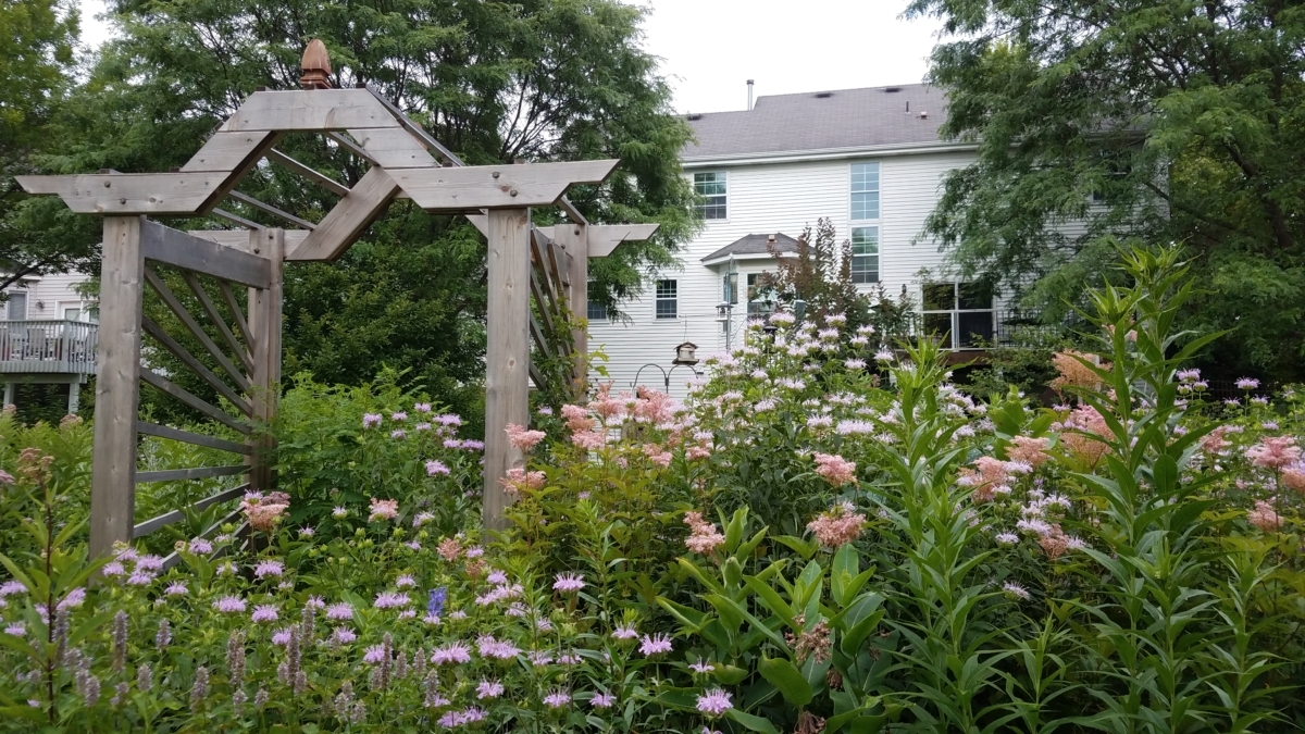 Wild Ones sows native landscapes – and hope – in Eden Prairie