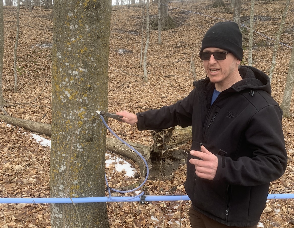 Horticulturist Richard DeVries explains how he taps trees to collect sap, which flows through blue tubing into a large tank before being boiled down to make maple syrup.